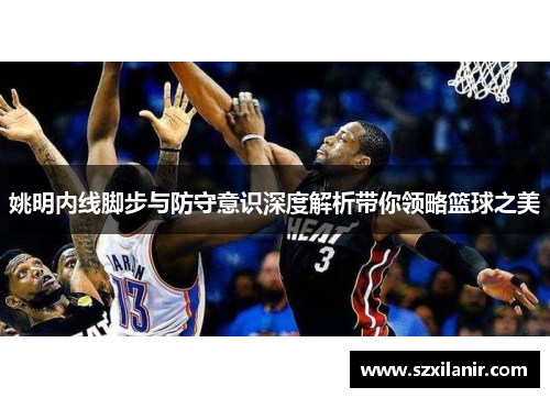 姚明内线脚步与防守意识深度解析带你领略篮球之美