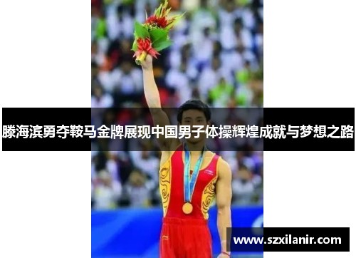 滕海滨勇夺鞍马金牌展现中国男子体操辉煌成就与梦想之路