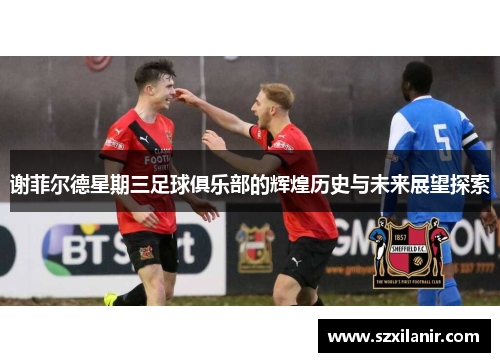 谢菲尔德星期三足球俱乐部的辉煌历史与未来展望探索