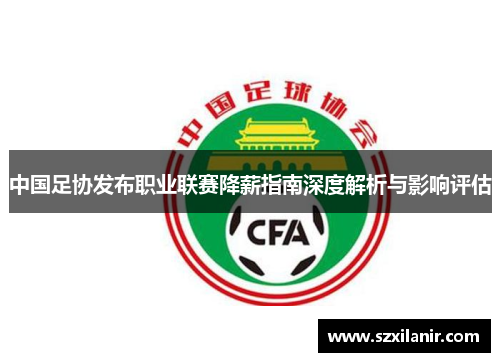 中国足协发布职业联赛降薪指南深度解析与影响评估