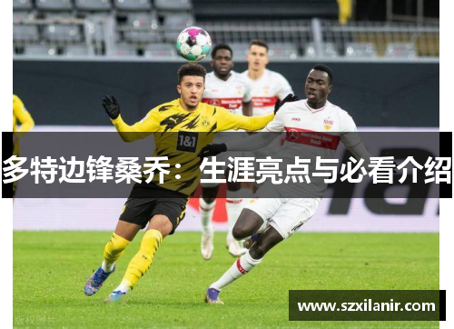 多特边锋桑乔：生涯亮点与必看介绍