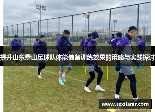 提升山东泰山足球队体能储备训练效果的策略与实践探讨