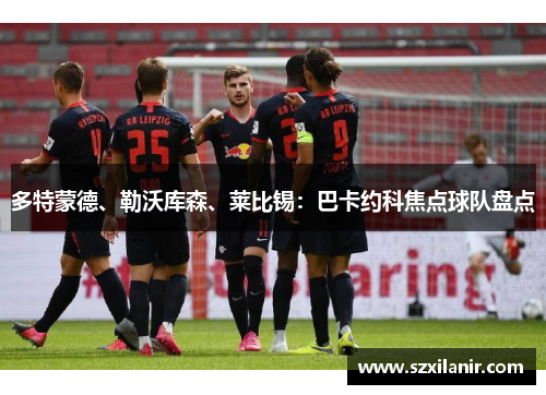 多特蒙德、勒沃库森、莱比锡：巴卡约科焦点球队盘点
