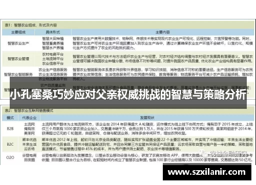 小孔塞桑巧妙应对父亲权威挑战的智慧与策略分析