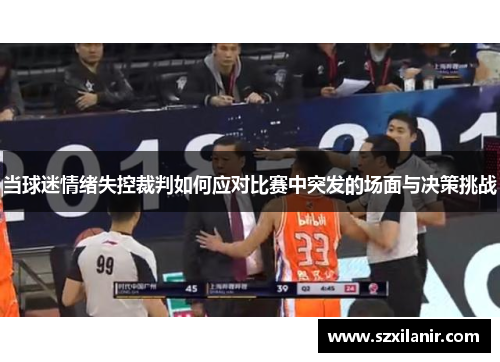 当球迷情绪失控裁判如何应对比赛中突发的场面与决策挑战