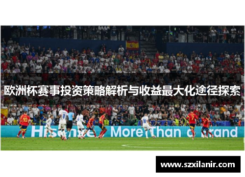 欧洲杯赛事投资策略解析与收益最大化途径探索
