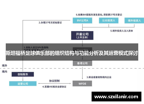 斯坦福桥足球俱乐部的组织结构与功能分析及其运营模式探讨