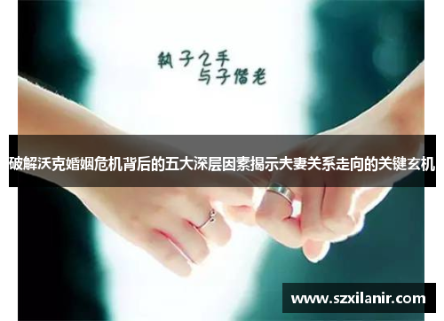 破解沃克婚姻危机背后的五大深层因素揭示夫妻关系走向的关键玄机