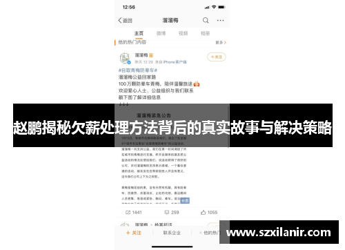 赵鹏揭秘欠薪处理方法背后的真实故事与解决策略