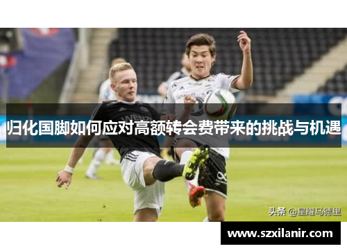归化国脚如何应对高额转会费带来的挑战与机遇