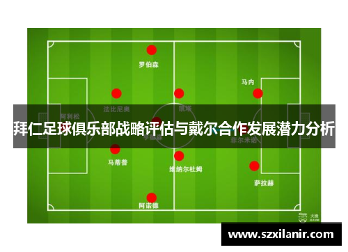 拜仁足球俱乐部战略评估与戴尔合作发展潜力分析